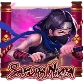 Sakura game cover